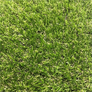 1 X 3m X 18mm Synthetic Grass Turf Mat Bunnings Warehouse