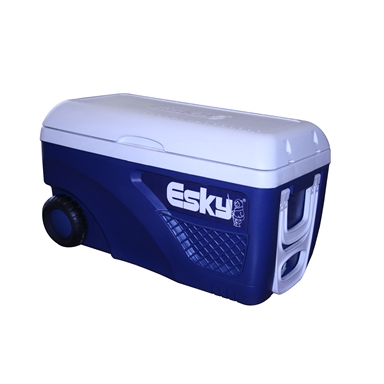 esky cooler big w