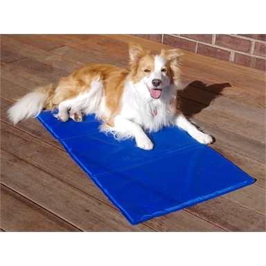 cooling mats for dogs nz