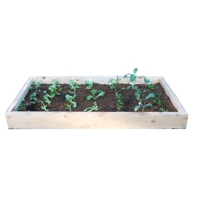 Eco Box Macrocarpa Kitset Garden 20x900x2000mm Eco Box Macrocarpa Kitset Garden 20x900x2000mm