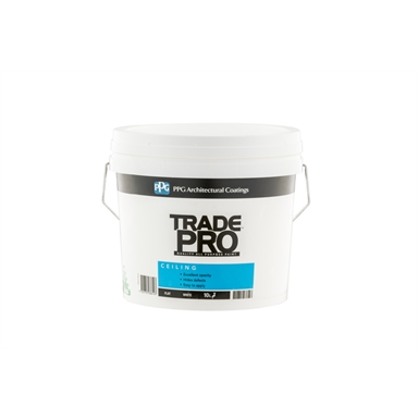 Ppg Trade Pro Ceiling Paint White 10l Bunnings Warehouse
