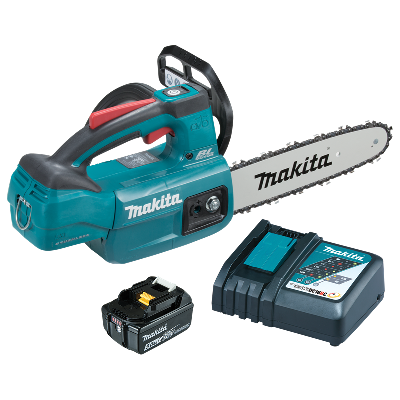 Battery Operated Chainsaws Bunnings saw palmetto for bph