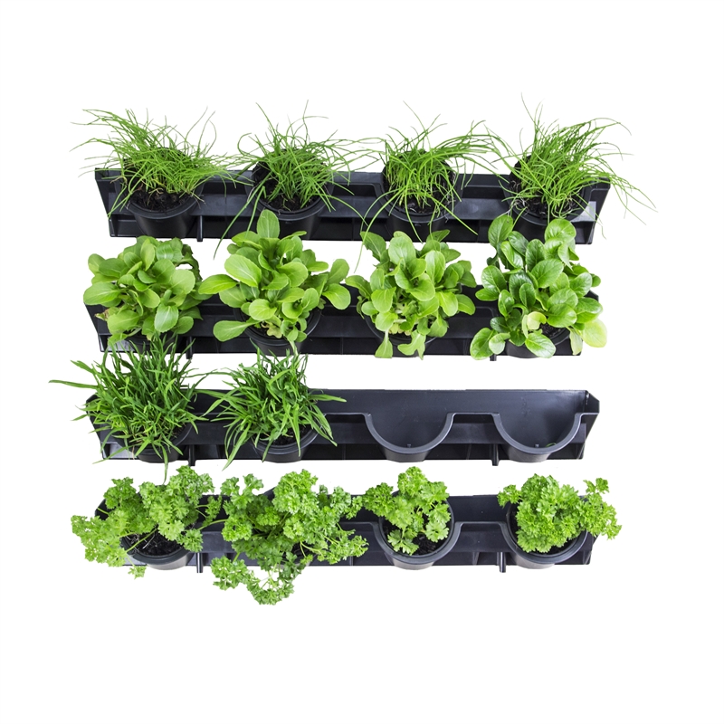 Holman Pixel Pot Greenwall Vertical Garden Bunnings Warehouse - Self Watering Vertical Garden Bunnings Holman Pixel Pot Greenwall Vertical Garden Bunnings Warehouse - Self Watering Vertical Garden Bunnings