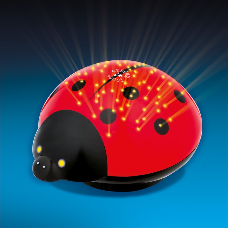 ladybird night light projector